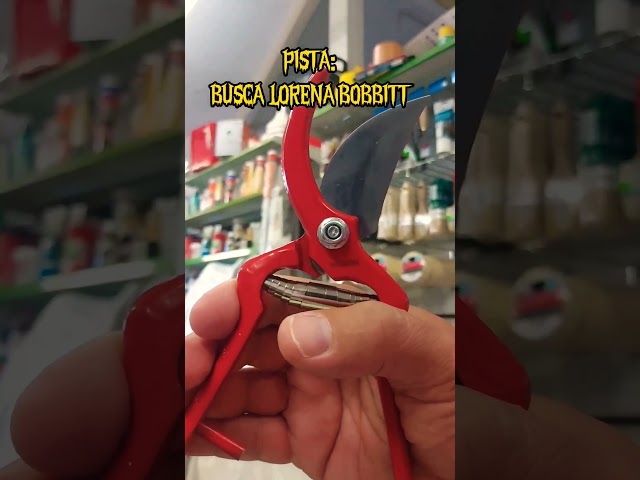 Vídeo relacionado con GRÜNTEK Tijeras de Podar Profesional SILVERCUT. Tijera podadora de mano Cortarramas Jardín Arboles Viñas 220 mm Gris.
