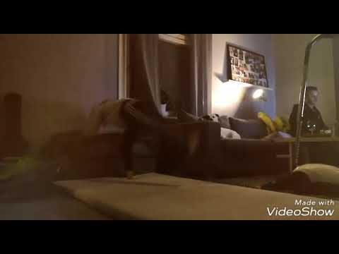 Jag kör gymnastik och bryter armen