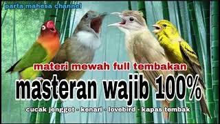 Download lagu Masteran Burung Juara Full Isian Tembakan Cucak jenggot, Kenari, Lovebird, Kapas tembak mp3 Download lagu Masteran Burung Juara Full Isian Tembakan Cucak jenggot, Kenari, Lovebird, Kapas tembak mp3