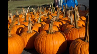 2019 Covenant Church   Fall Festival