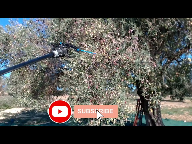 Vídeo relacionado con M.A MA27 - Mantilla agrícola, 270 x 270 x 1 cm, Color Blanco