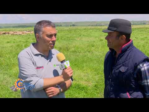 Duminica la țară în comuna Saelele, jud. Teleorman | 13.06.2021, P3