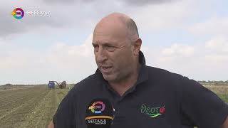 ΚΟΡΥΦΩΝΕΤΑΙ Η ΣΥΓΚΟΜΙΔΗ ΤΗΣ ΒΙΟΜΗΧΑΝΙΚΗΣ ΝΤΟΜΑΤΑΣ ΣΤΟΝ ΚΑΜΠΟ ΤΗΣ ΛΑΡΙΣΑΣ 20 08 2025