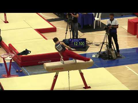 Asher Hong - Pommel Horse Finals - 2018 Pacific Rim Championships