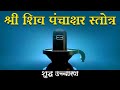 Shiv Panchakshar Stotra पंचाक्षर स्त्रोत Nagendra Haraya Trilochanaya 