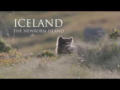 Iceland the newborn island   4K