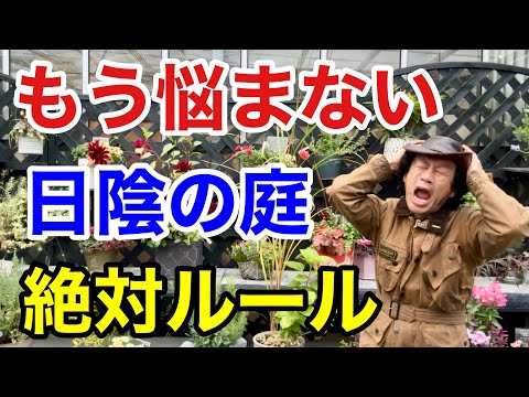 庭の日陰の場所: 植え替えのための 3 つのアイデア トピックス