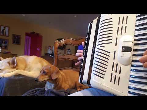 And So It Goes - accordion