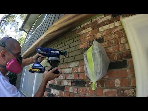 Frog clan painting group video.