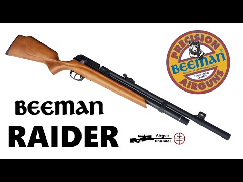 Beeman RAIDER Review (Budget PCP Rifle) Does this Classic Air Rifle Perform in 2025?