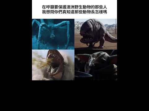 嚇破膽澳洲野生動物