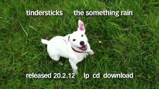 tindersticks - Jumpy Dog