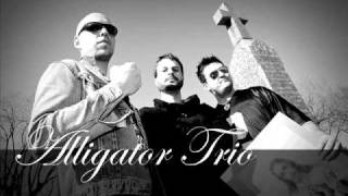 Alligator Trio - À quoi qu'i rêvent les gros qui dorment dans l'autobus