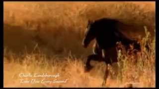 Charlie Landsborough - Love You Every Second (HQ :) + lyrics