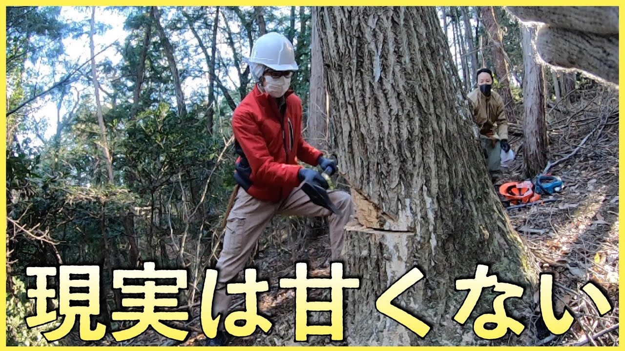 山開拓の不都合な現実【山開拓】#52