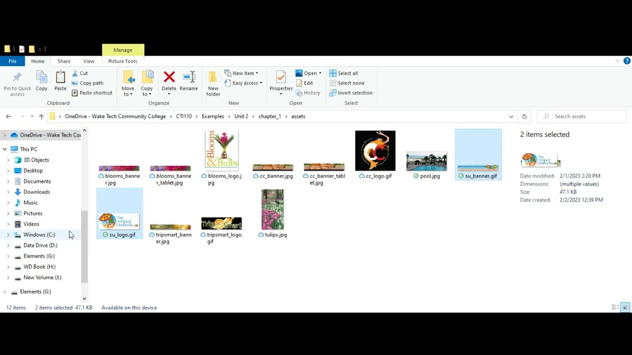 Lesson 5 Assignment Demonstration