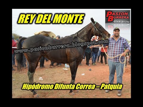 Rey del Monte, Patquia (10-06-18)