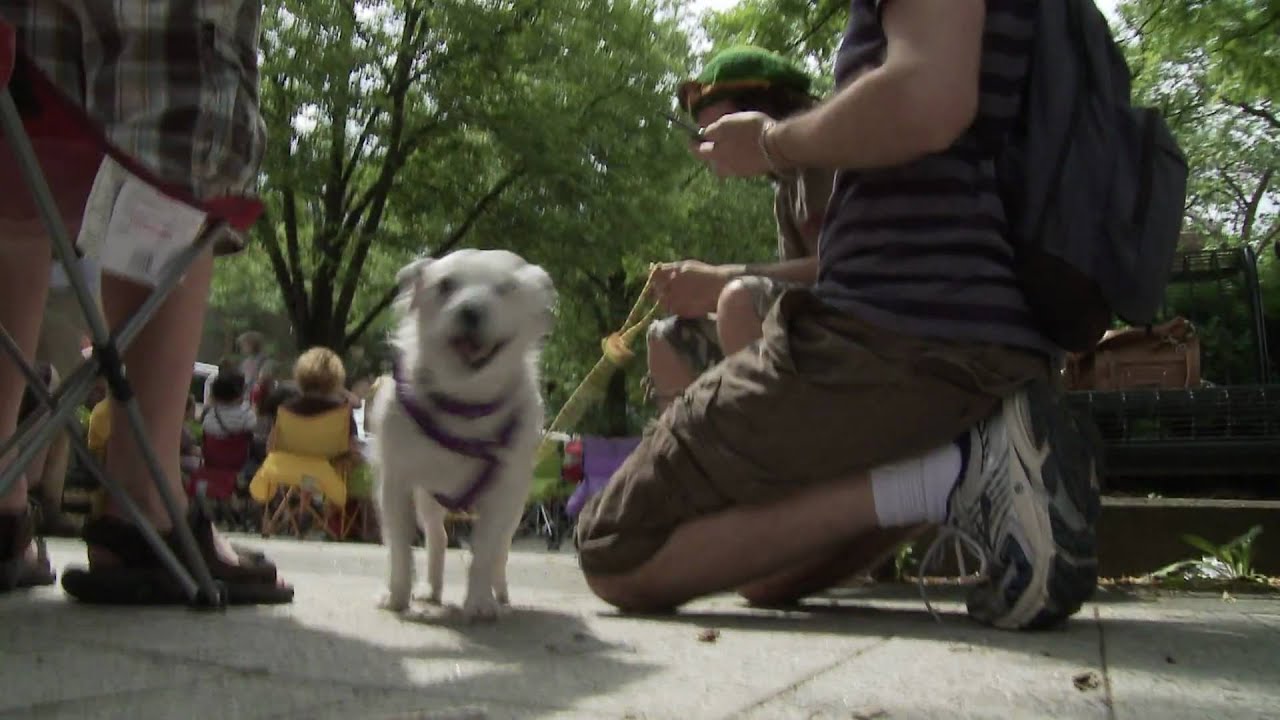 YouTube video thumbnail