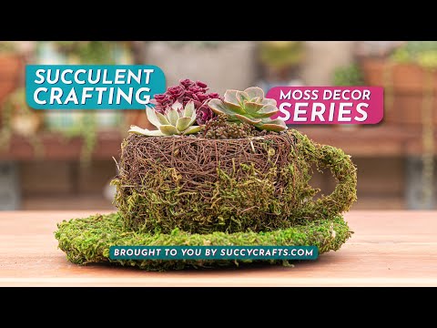 Succulent Craft Kit Guide: Succulent Coffee Mug