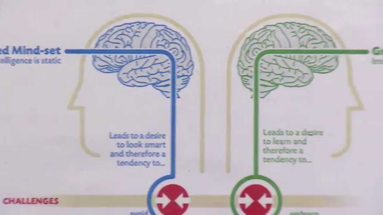 MINDSET POSTER IN EVERY CLASSROOM