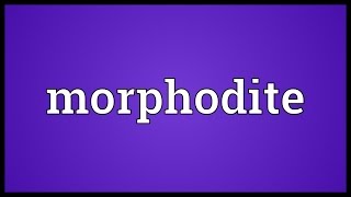 Morphodite Meaning