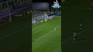 Que isso Carlos Miguel? (Palmeiras x Novorizontino) Paulistão 04/03/2026