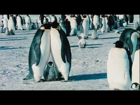 March Of The Penguins - Official® Trailer [HD]