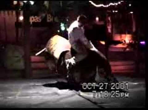 Bull ride - Lee