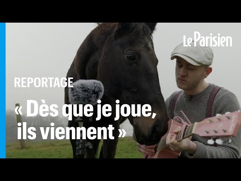 The man who plays music to animals