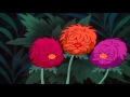 Alice In Wonderland All In The Golden Afternoon HD