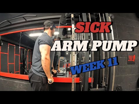 Spring Cut - Day 68 - ARM DAY || Week 11
