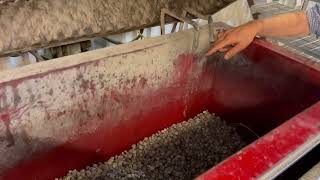 بيع معدة إزالة الحواف Acton Vibrota - صورة 4 | Machineryline معدة إزالة الحواف Acton Vibrota | صورة 4 - Machineryline