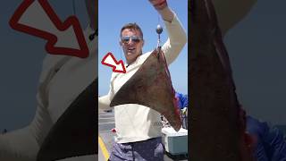 Download lagu Fishing for the fish that guard under the bridge 😱 #shorts #viralvideo #fishing #fishing #fish #g... mp3 Download lagu Fishing for the fish that guard under the bridge 😱 #shorts #viralvideo #fishing #fishing #fish #g... mp3