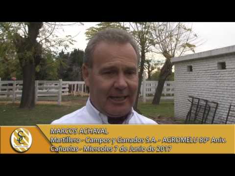 07-06-17 Nota Marcos Achaval - AGROMELU - Remate 80º Aniversario - Campos y Ganados S.A. - Cañuelas