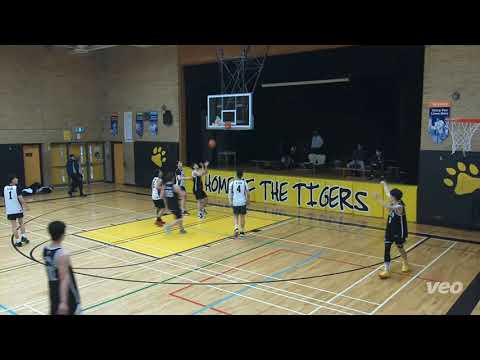 straw hats(55) Tier 4 Steveless(54) - tcbl saturday - 2022/2023 winter