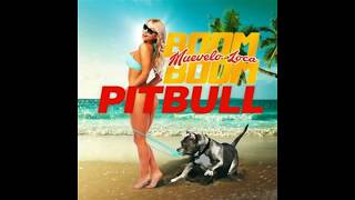 Pitbull - Muévelo Loca Boom Boom  (Audio)