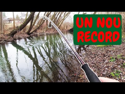 RECORD LA CLEAN - Am PESCUIT TORPILE de CLENI IARNA la GUMA