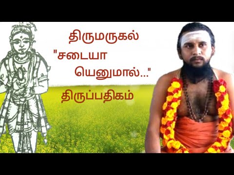 237.சடையா யெனுமால் |திருமருகல் | திருஞானசம்பந்தர் தேவாரம் | திருமுறைத் தமிழாகரன்