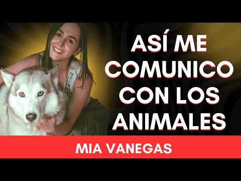 Comunicación interespecie: Escuchar a los animales con el corazón con Daniela Camino | Más Humanos