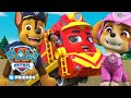 PAW Patrol And Mighty Express Episodes Cartoons For Kids Compilation 51 PAW Patrol Friends