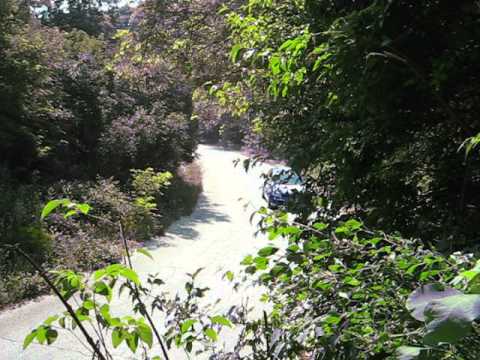 Rally Hebros 2008 SS Asenovgrad