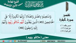 معنى (ملاقو ربهم) للشيخ الشنقيطي - مشروع كبار العلماء image