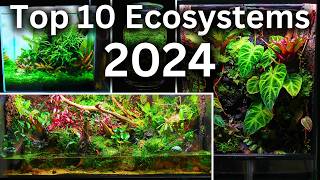 My Top 10 Ecosystem Builds Of 2024!