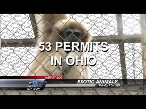 Living With Exotic Animals: How Ohio Families are Legally Keeping Their Pets