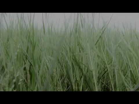 download lagu mp3 mp4 Masterpiece Gaun Putih, download lagu Masterpiece Gaun Putih gratis, unduh video klip Masterpiece Gaun Putih