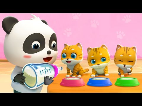 Kitty Cat Song | Play with Kittens | Pet Care Song | Nursery Rhymes & Kids Songs | BabyBus
