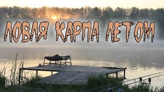 Все о ловле карпа в июле на пруду
