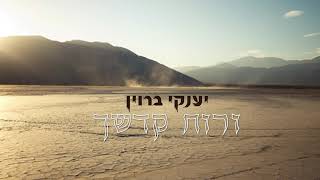 יענקי ברוין - ורוח קדשיך | Yanki Braun - Veriach Kodshechu
