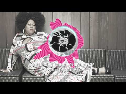 Dawn Tallman - Tearsdrops On The Dancefloor (Stonebidge Neo Soul Remix)