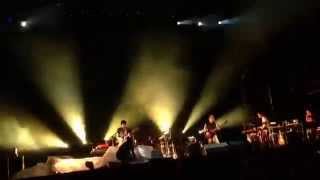 Verdena - Il Caos strisciante